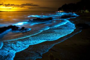 Discover where to see bioluminescent plankton in Corfu, the best beaches, moon phases, summer conditions and tips for spotting the rare glowing sea sparkle.