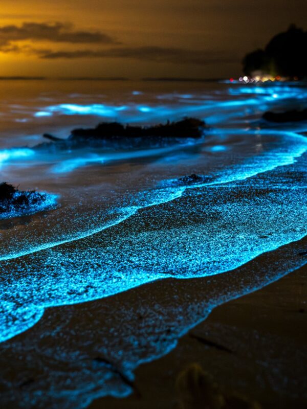 Discover where to see bioluminescent plankton in Corfu, the best beaches, moon phases, summer conditions and tips for spotting the rare glowing sea sparkle.