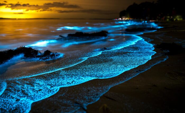 Discover where to see bioluminescent plankton in Corfu, the best beaches, moon phases, summer conditions and tips for spotting the rare glowing sea sparkle.