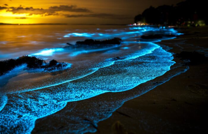 Discover where to see bioluminescent plankton in Corfu, the best beaches, moon phases, summer conditions and tips for spotting the rare glowing sea sparkle.