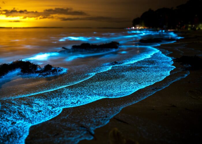 Discover where to see bioluminescent plankton in Corfu, the best beaches, moon phases, summer conditions and tips for spotting the rare glowing sea sparkle.