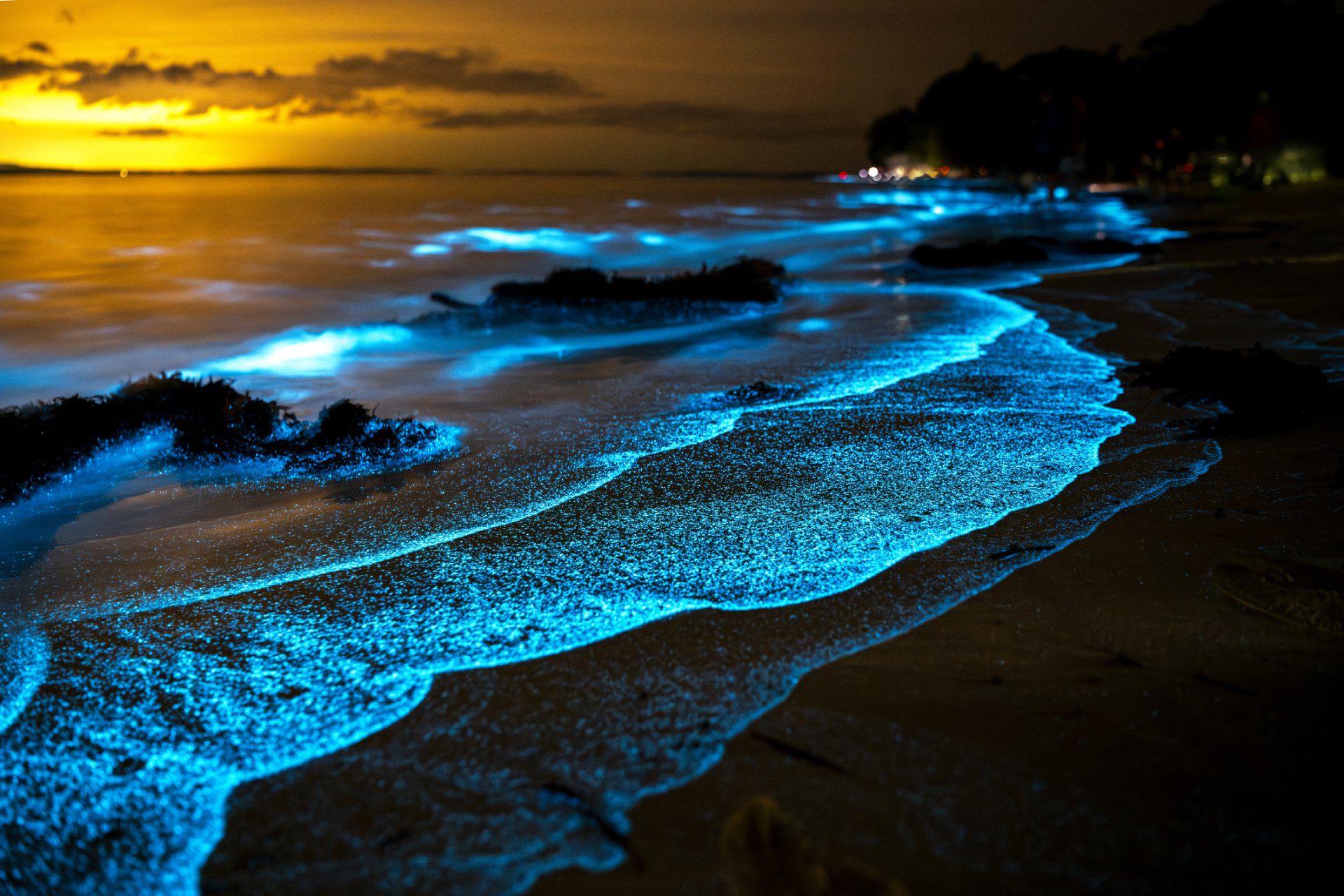 Bioluminescent Shore Discover where to see bioluminescent plankton in Corfu, the best beaches, moon phases, summer conditions and tips for spotting the rare glowing sea sparkle.