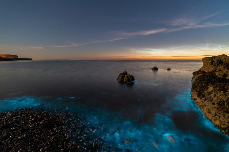 Discover where to see bioluminescent plankton in Corfu, the best beaches, moon phases, summer conditions and tips for spotting the rare glowing sea sparkle.